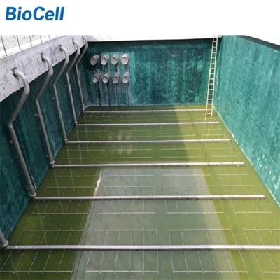 שפכים מפזרי בועה גסים